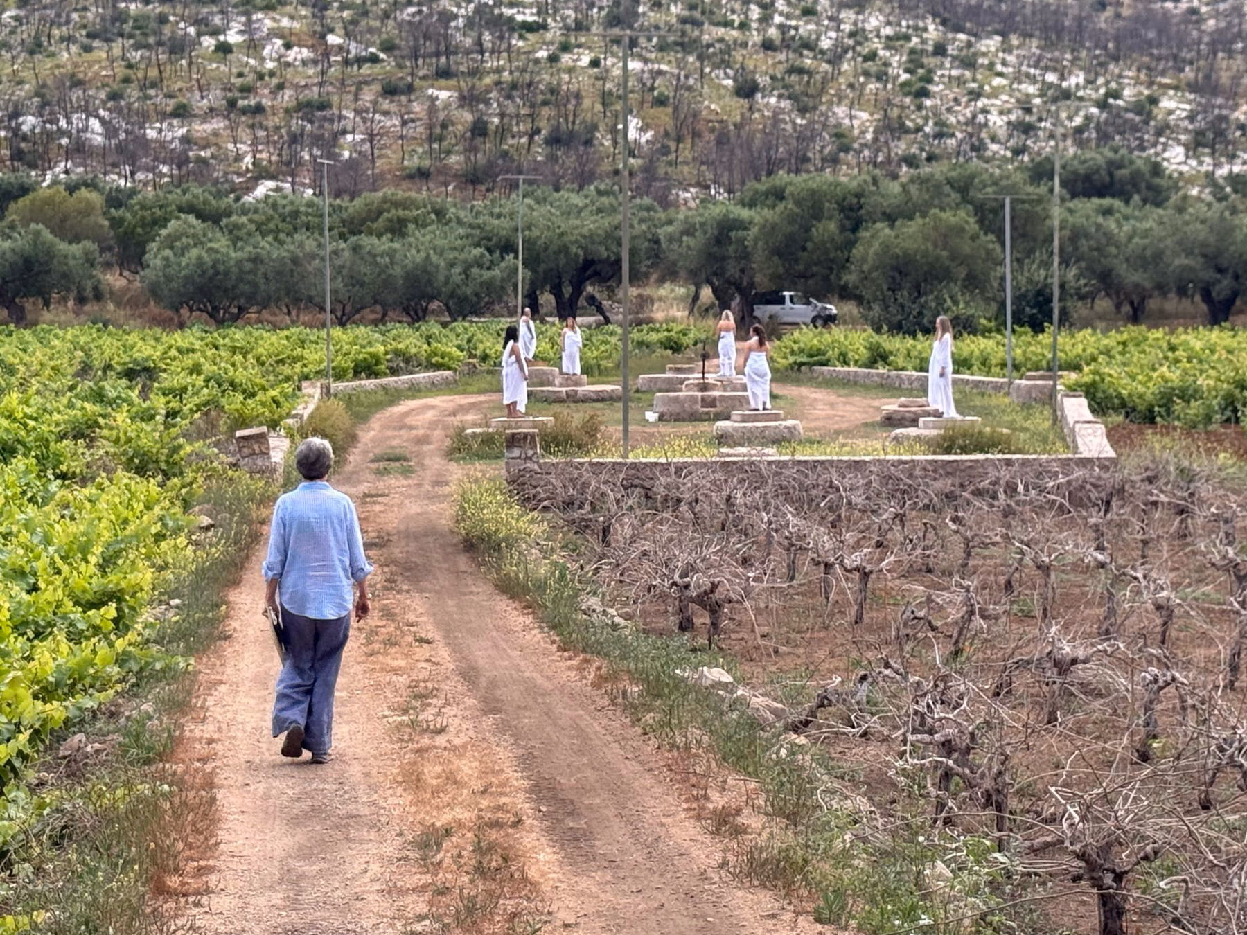 Roz walks a dirt track between vineyards toward six figures in white, each standing on a low stone well.