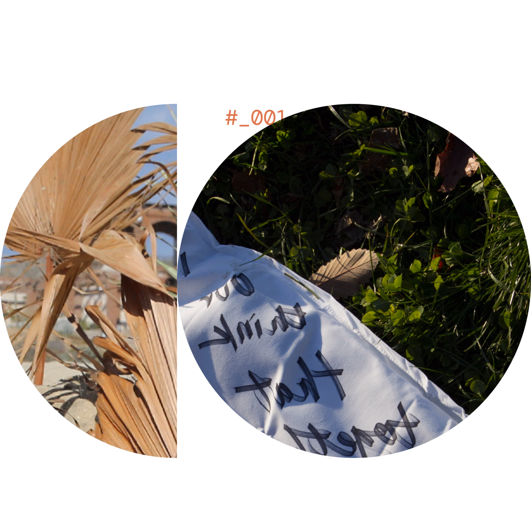 Website_Graphics_Square5.png