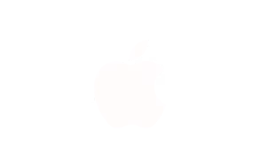 apple and odyssey works experience design certificate program