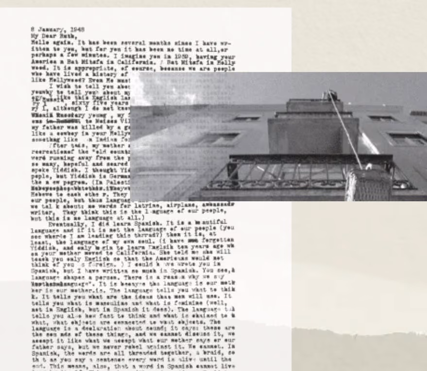 collage by Megan Irwin