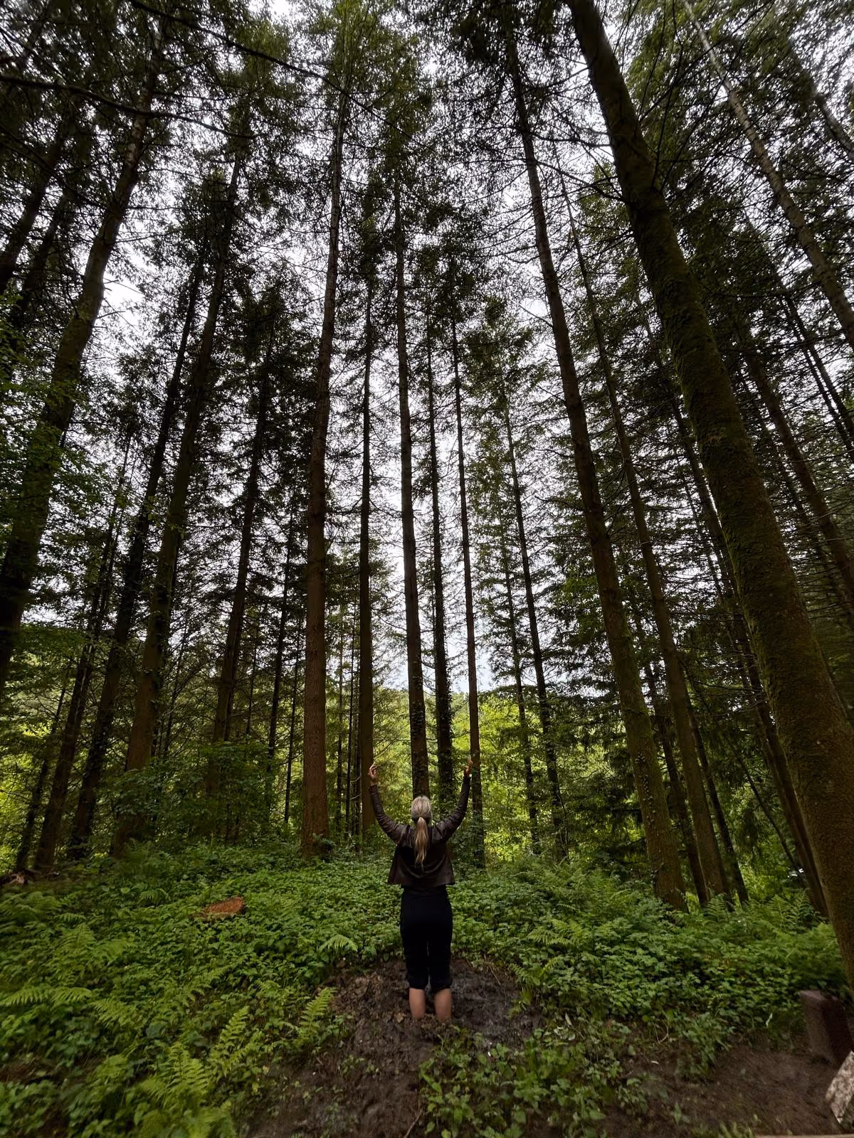 Tiu DeHaan in the woods
