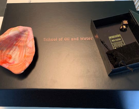 Fereshteh Toosi's School of Oil and Water